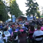 Thousands of people gathered watching Luisa Marshall's Tina Turner Tribute Act at the Harmony Arts Festival 2012.