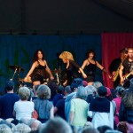 Luisa Marshall as Tina Turner on stage at the Harmony Arts Festival 2012. 7