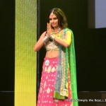 Vartika Sharma's international Costume during Miss World Canada 2013 preliminaries.