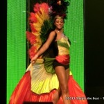 Camille Munro's International Costume during Miss World Canada 2013 preliminaries.