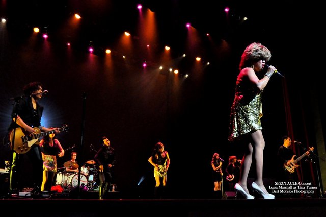 Luisa Marshall's Tina Turner Tribute at the Bell Centre 2014