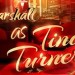 Luisa Marshall's Tina Turner Tribute 2015 Cover